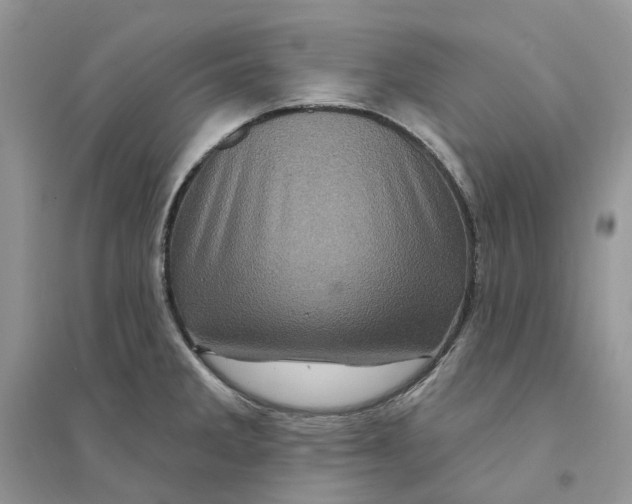 X0000094461285200711291713