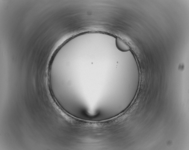 X0000094461286200711291713