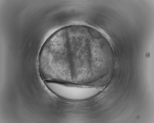 X0000094461287200711291713