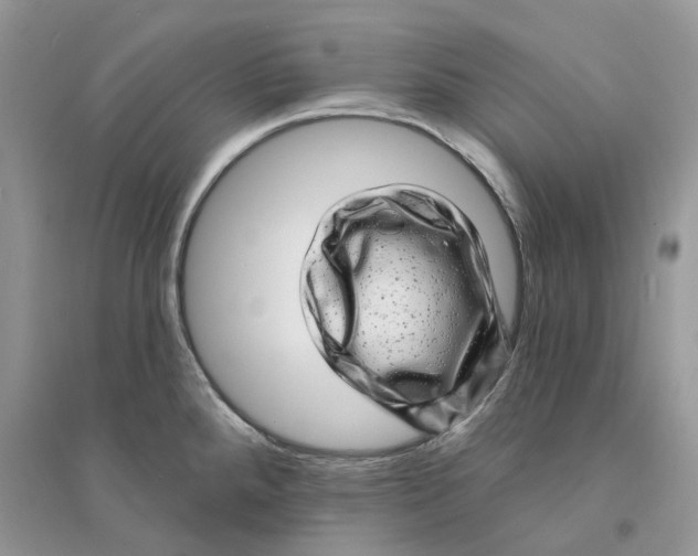 X0000094461288200711291713