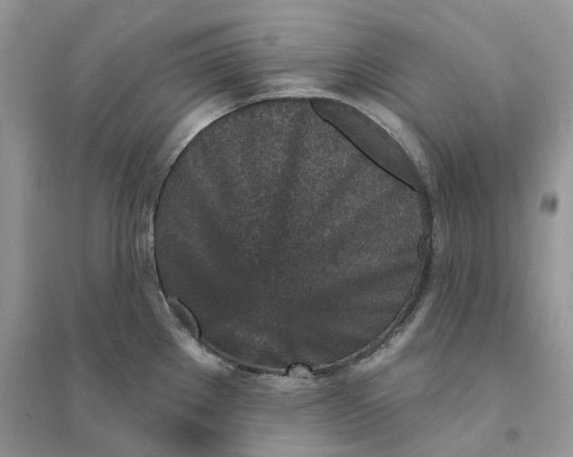 X0000094461289200711291713