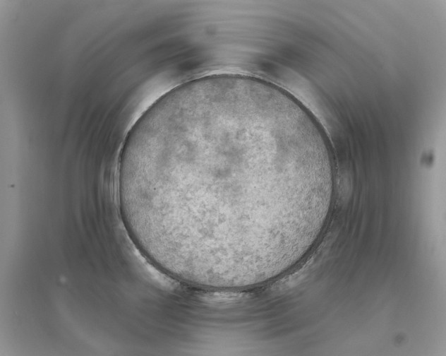 X0000094461290200711291713