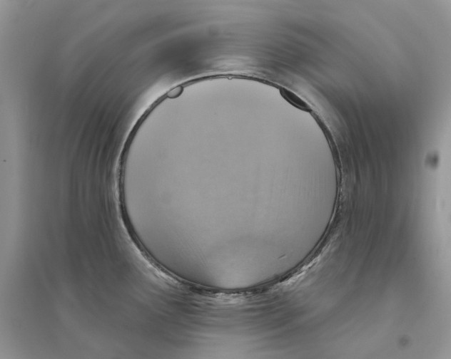 X0000094461291200711291713