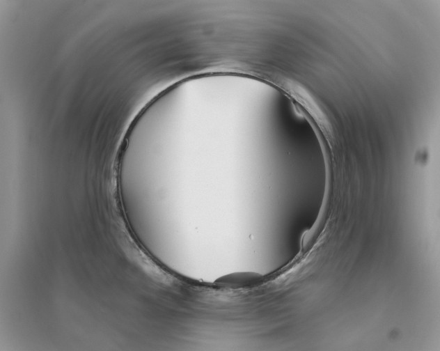 X0000094461292200711291713