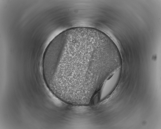 X0000094461293200711291713