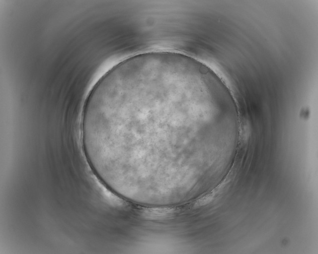 X0000094461294200711291713