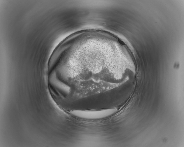 X0000094461295200711291713