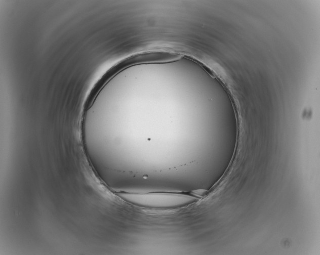 X0000094461296200711291713