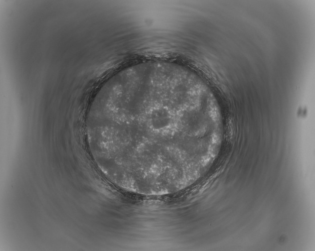 X0000094461297200711291712