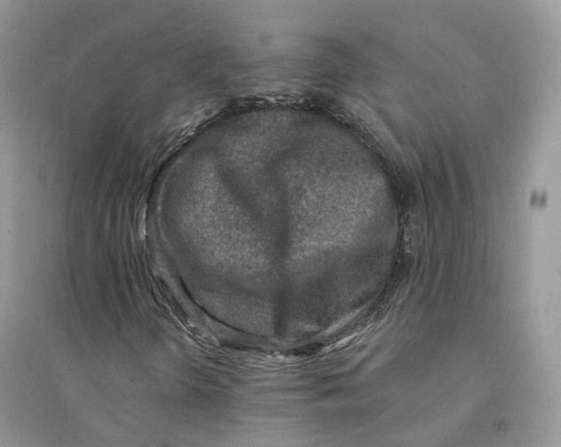 X0000094461298200711291712