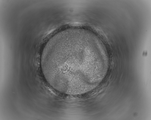 X0000094461301200711291712