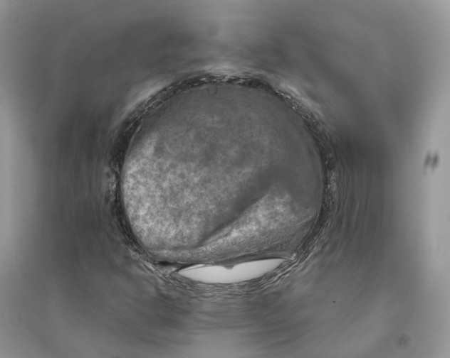 X0000094461302200711291712