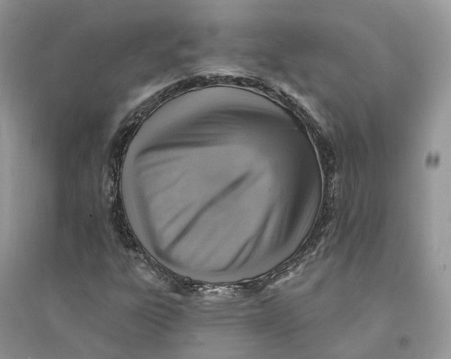 X0000094461303200711291712