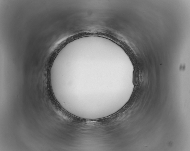 X0000094461304200711291712