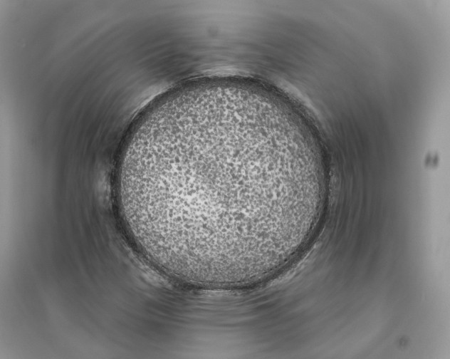 X0000094461305200711291712