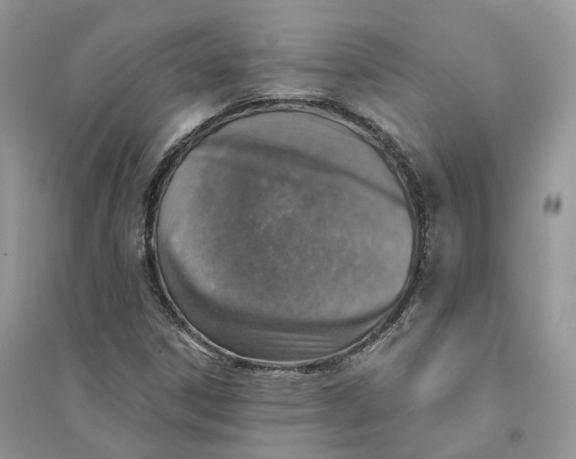 X0000094461306200711291712