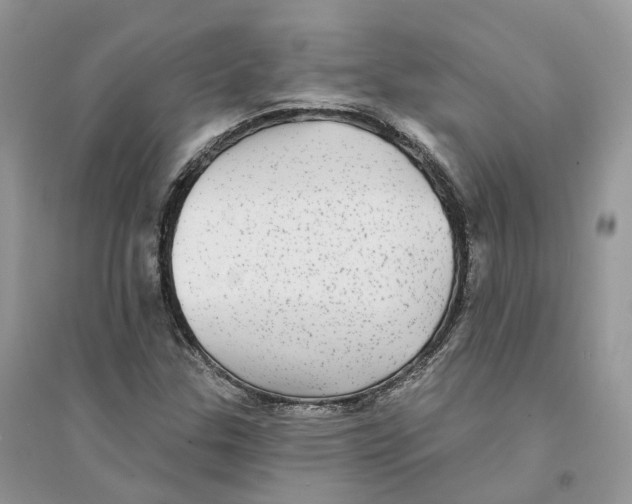 X0000094461307200711291713