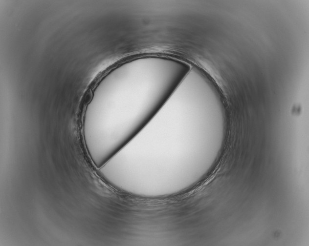 X0000094461308200711291713