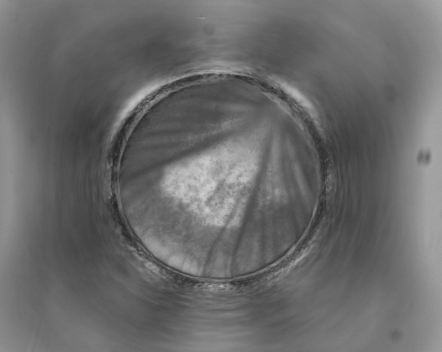 X0000094461310200711291713