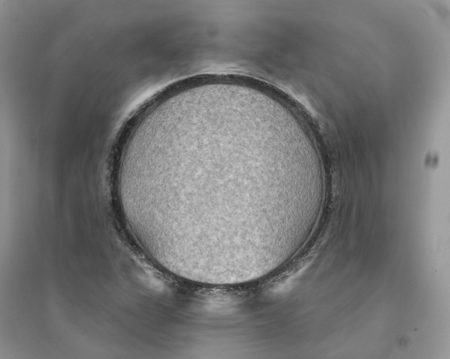 X0000094461311200711291713