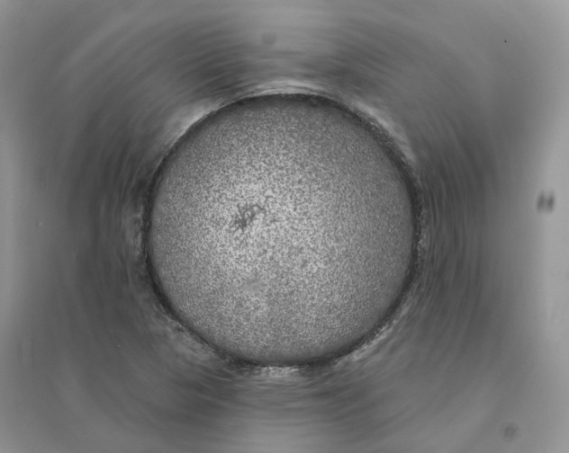 X0000094461313200711291713