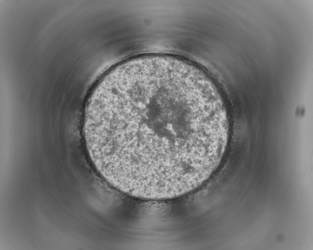 X0000094461314200711291713