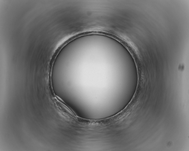 X0000094461316200711291713