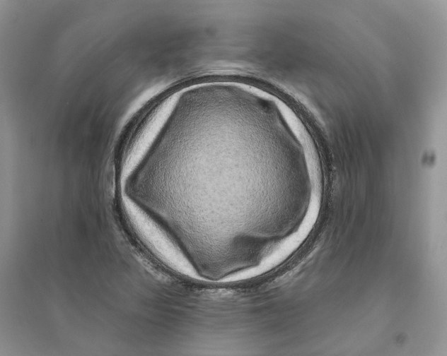 X0000094461317200711291713