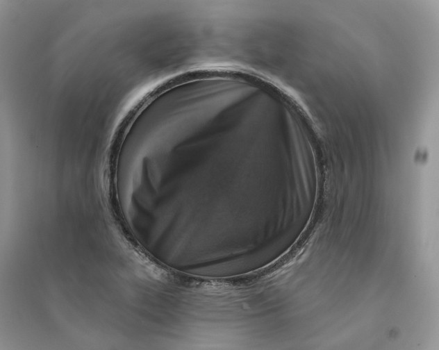 X0000094461319200711291713