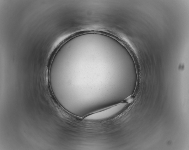 X0000094461320200711291713