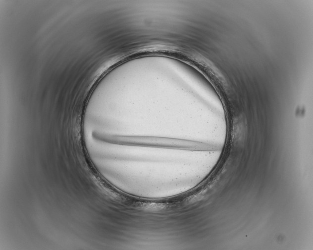 X0000094461321200711291713