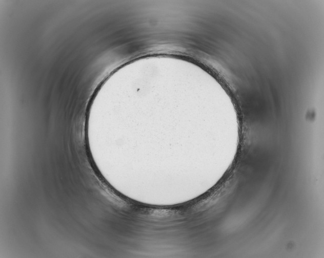 X0000094461322200711291713