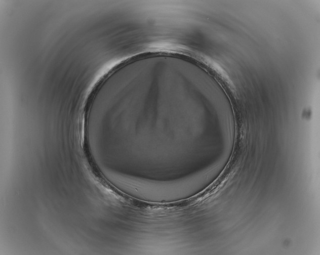 X0000094461323200711291713