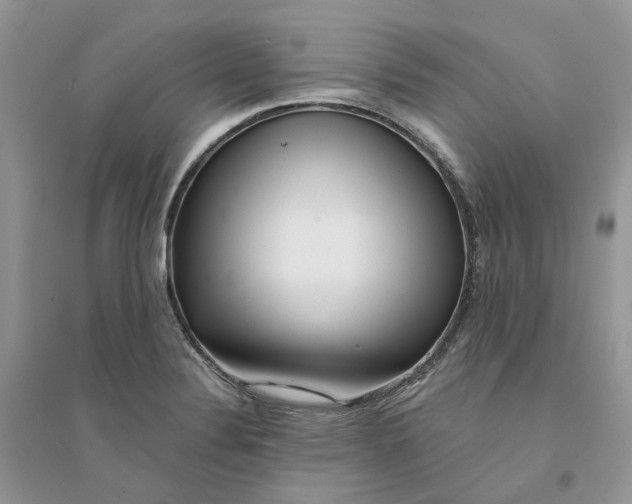 X0000094461324200711291713