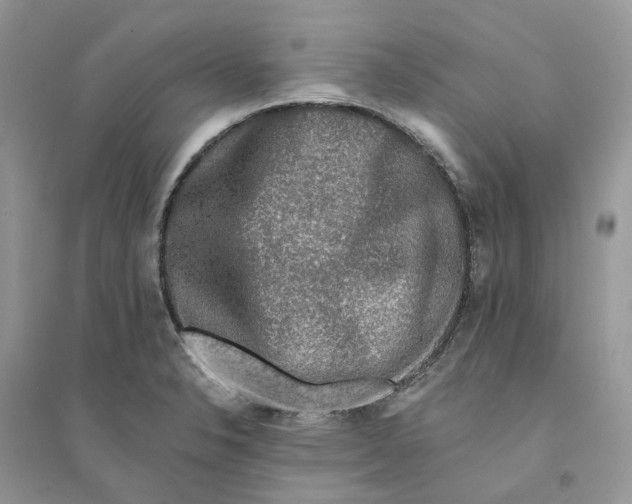 X0000094461326200711291713