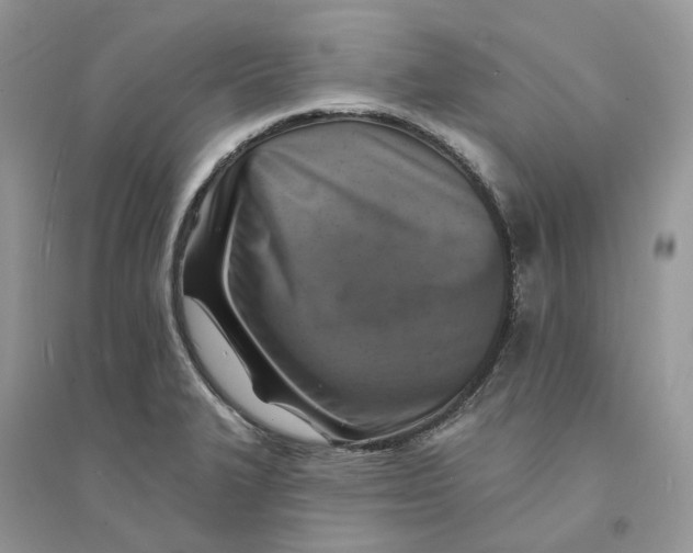 X0000094461327200711291713