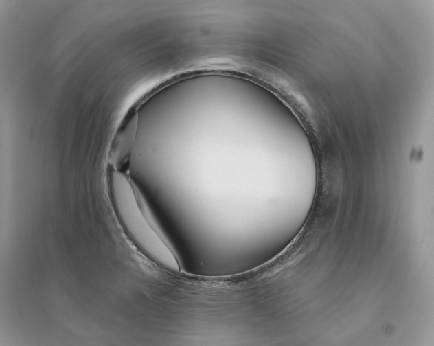 X0000094461328200711291713