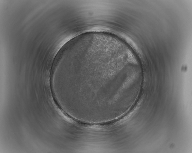 X0000094461329200711291713