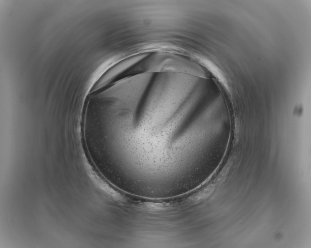 X0000094461330200711291713