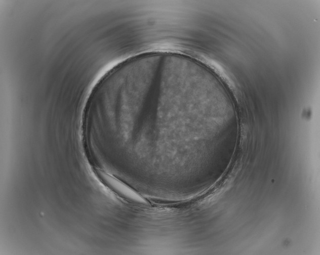 X0000094461331200711291713