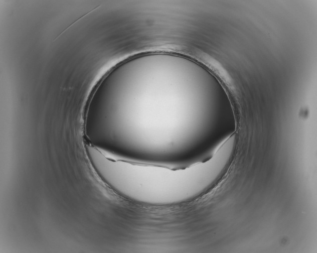 X0000094461332200711291713