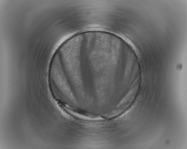 X0000094461333200711291713