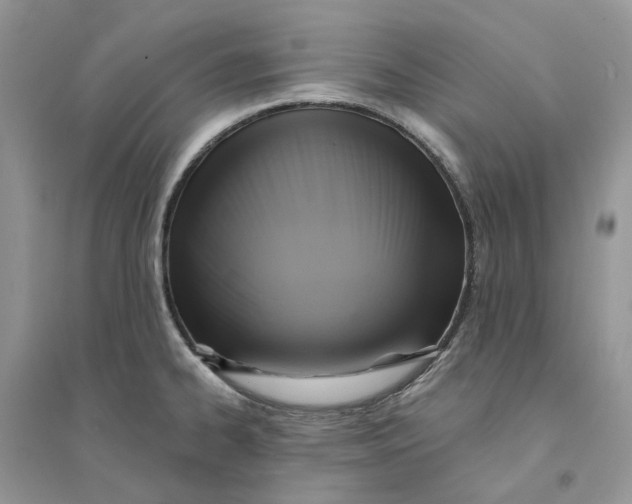 X0000094461334200711291713