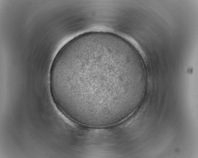 X0000094461335200711291713