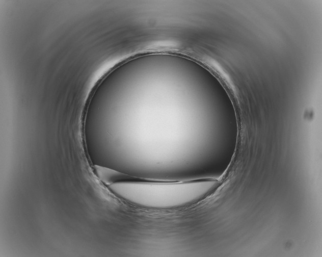 X0000094461336200711291713