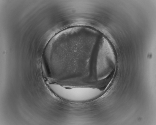 X0000094461337200711291713