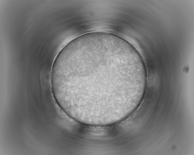 X0000094461338200711291713