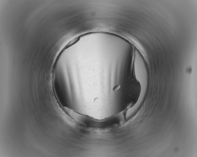 X0000094461340200711291713