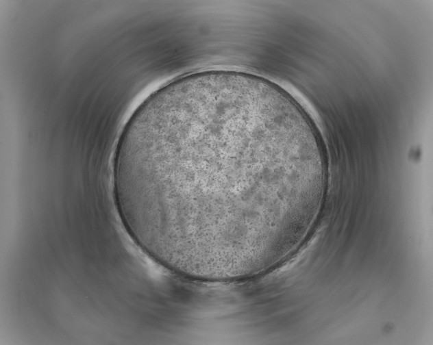 X0000094461341200711291713