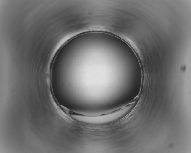 X0000094461342200711291713